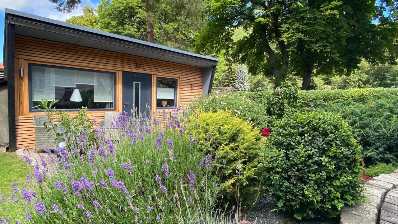 Das Ferienhaus Am Tiergarten 베르니게로데 외부 사진